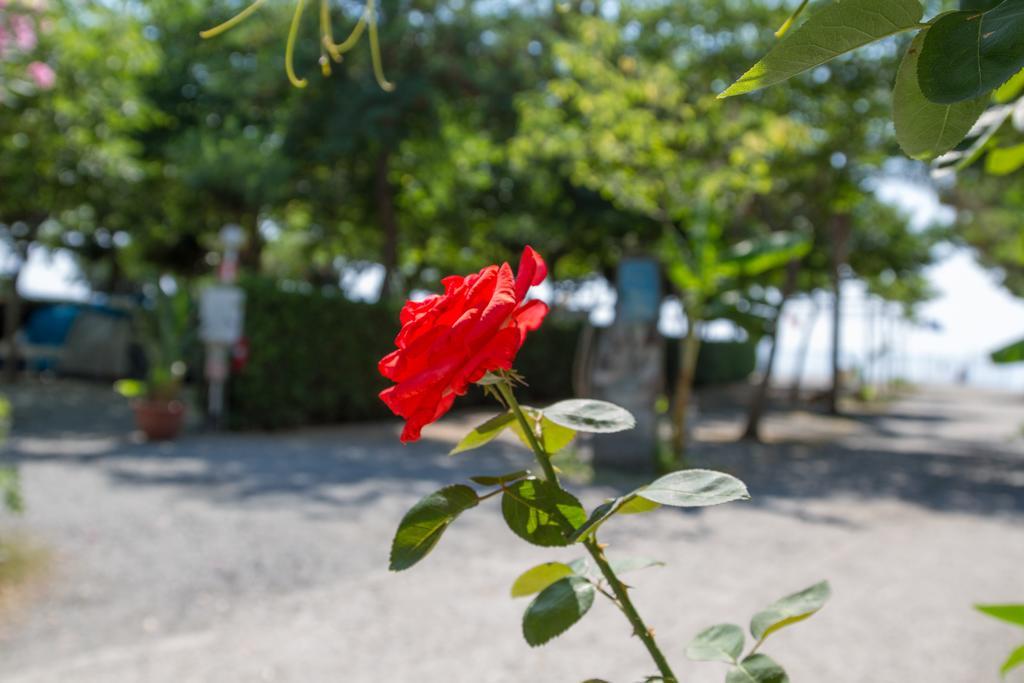 Camping La Focetta Sicula Sant'Alessio Siculo Exterior photo